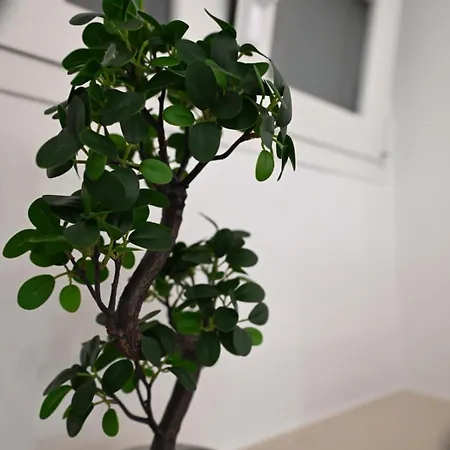 Al Guiscardo 8 לינה וארוחת בוקר