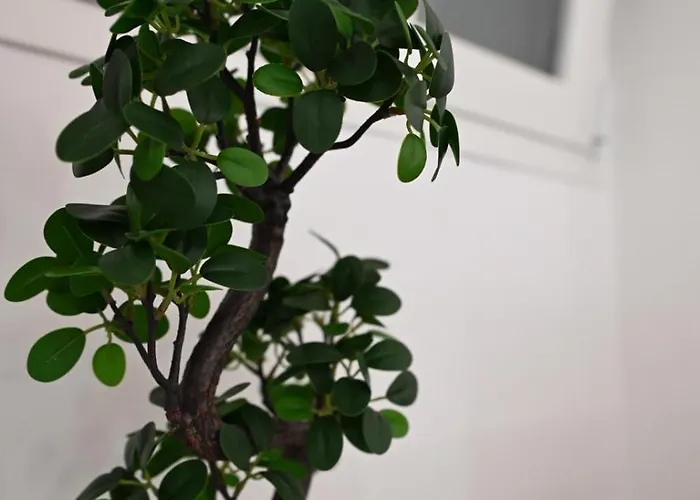 Al Guiscardo 8 לינה וארוחת בוקר